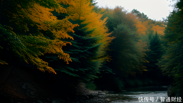 配资股网站 解析阿里影业（01060）可持续盈利背后：基本盘稳固 多元化布局带来新增量
