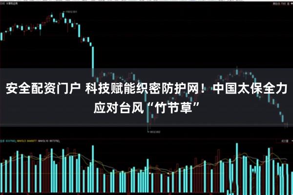 安全配资门户 科技赋能织密防护网！中国太保全力应对台风“竹节草”